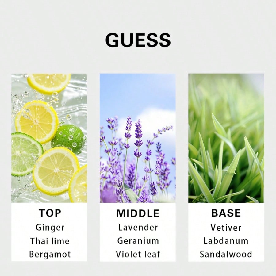 Guess Forever Men Eau De Toile – Fragrance Perfume Spray recenzja i cena